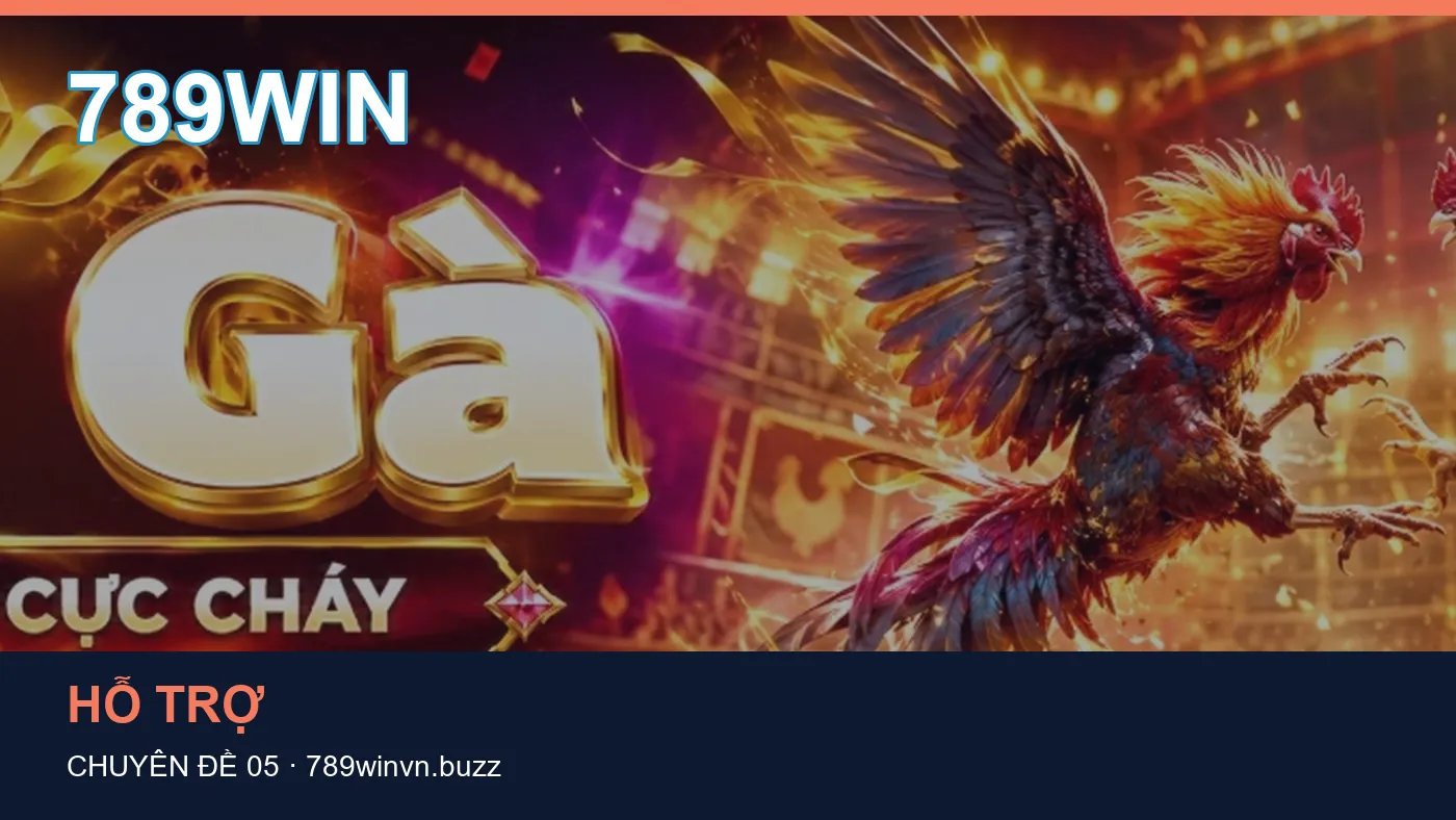 Truy cập: những thuật ngữ cần hiểu khi tra cứu 789WIN