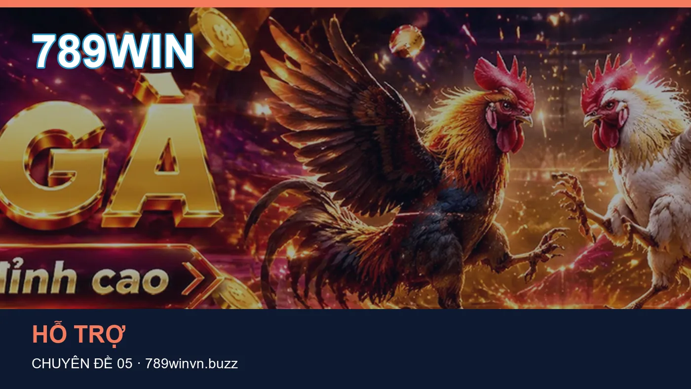 Cách bắt đầu đọc chuyên mục Ứng dụng trên 789WIN