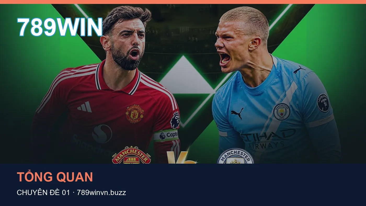 Ứng dụng: những thuật ngữ cần hiểu khi tra cứu 789WIN